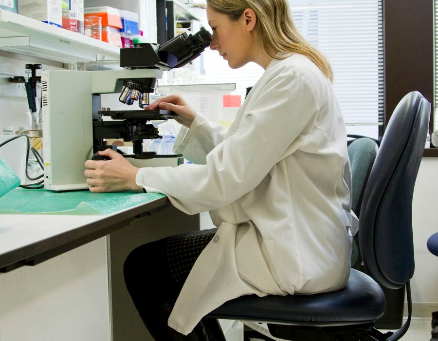 Laboratory technician analysing a sample under a microscope