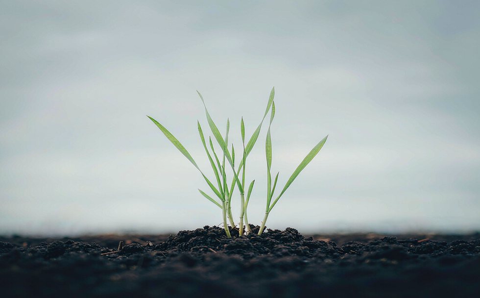 Agricultural