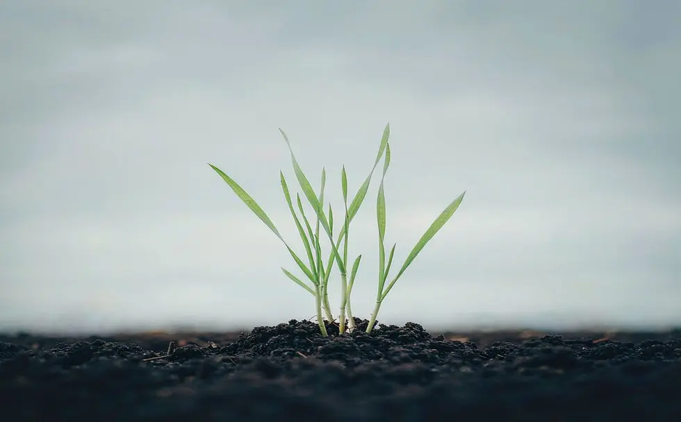 Agricultural