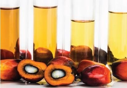 What Are Oleochemicals?